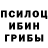 Псилоцибиновые грибы GOLDEN TEACHER LA6UOA