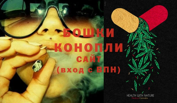 PSILOCYBIN Балабаново