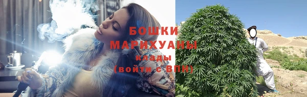 PSILOCYBIN Балабаново