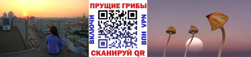 Псилоцибиновые грибы прущие грибы  KRAKEN зеркало  Верхоянск 